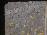 image of grave number 829562